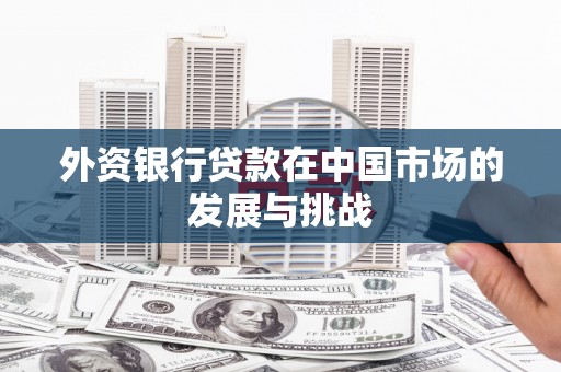 沧县外资银行贷款在中国市场的发展与挑战