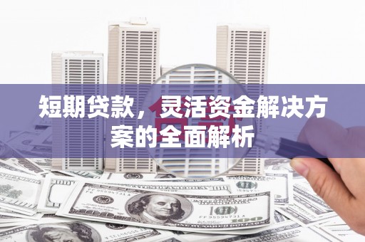 沧县短期贷款，灵活资金解决方案的全面解析