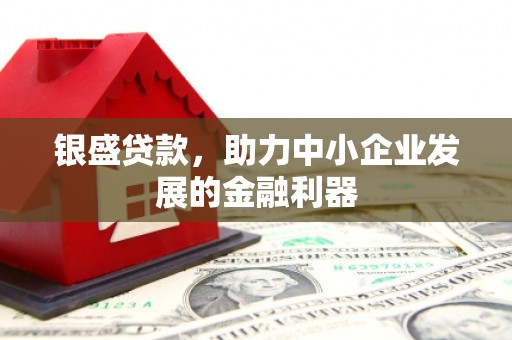 沧县银盛贷款，助力中小企业发展的金融利器