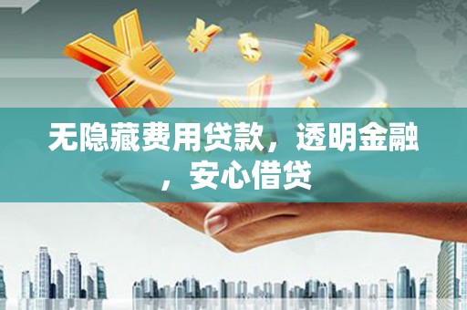 沧县无隐藏费用贷款，透明金融，安心借贷