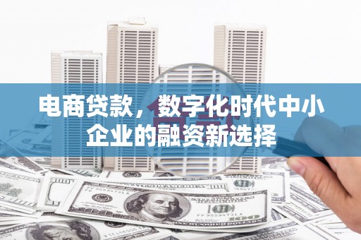 沧县电商贷款，数字化时代中小企业的融资新选择