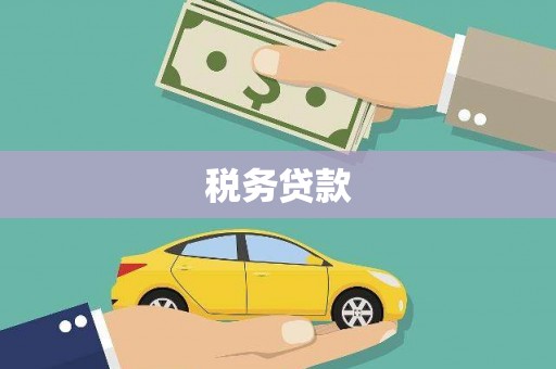 沧县税务贷款