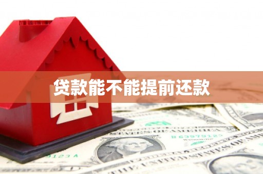 沧县贷款能不能提前还款