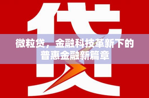 沧县微粒贷，金融科技革新下的普惠金融新篇章