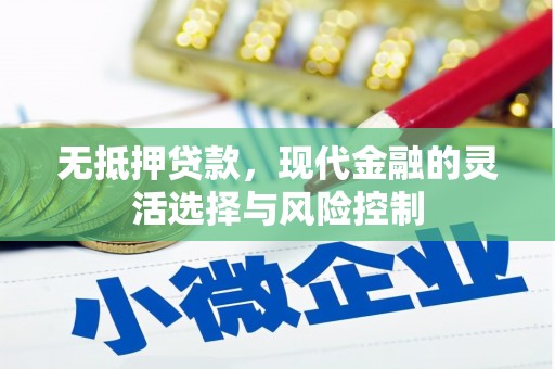 沧县无抵押贷款，现代金融的灵活选择与风险控制