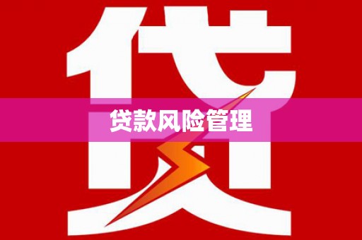沧县贷款风险管理