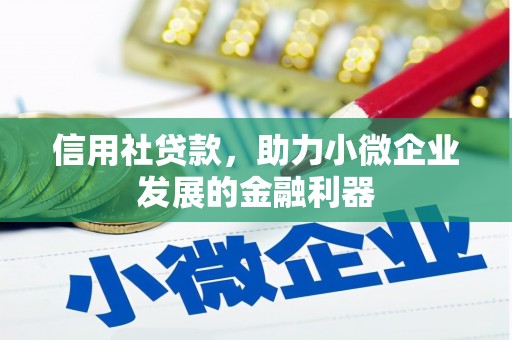 沧县信用社贷款，助力小微企业发展的金融利器