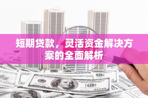 沧县短期贷款，灵活资金解决方案的全面解析