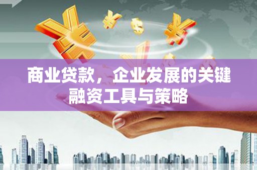沧县商业贷款，企业发展的关键融资工具与策略