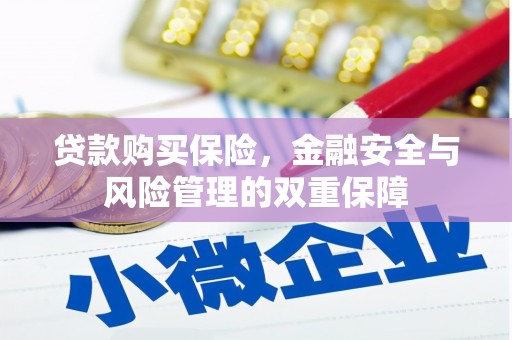 沧县贷款购买保险，金融安全与风险管理的双重保障