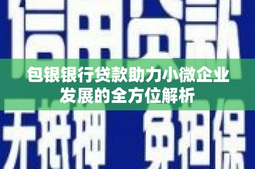 沧县包银银行贷款助力小微企业发展的全方位解析