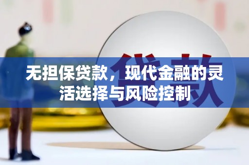 沧县无担保贷款，现代金融的灵活选择与风险控制