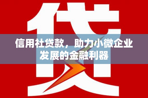 沧县信用社贷款，助力小微企业发展的金融利器