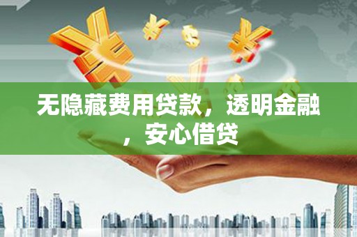 沧县无隐藏费用贷款，透明金融，安心借贷