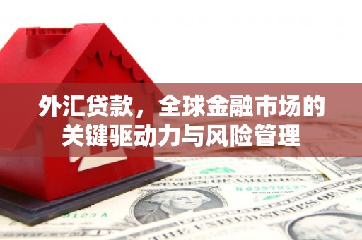 沧县外汇贷款，全球金融市场的关键驱动力与风险管理