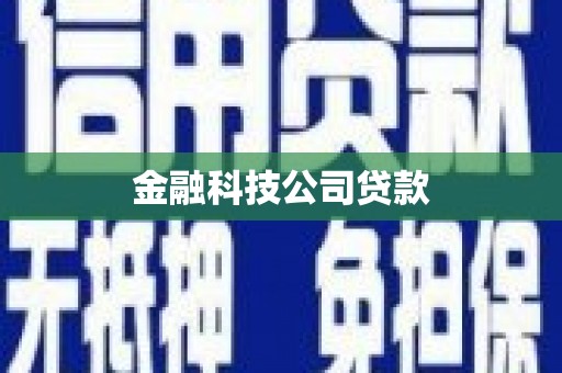 沧县金融科技公司贷款