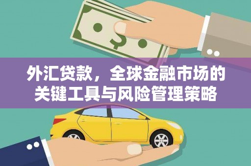 沧县外汇贷款，全球金融市场的关键工具与风险管理策略