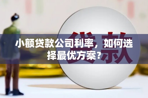 沧县小额贷款公司利率，如何选择最优方案？