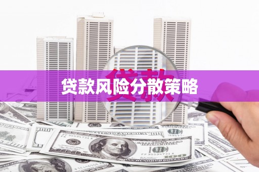 沧县贷款风险分散策略