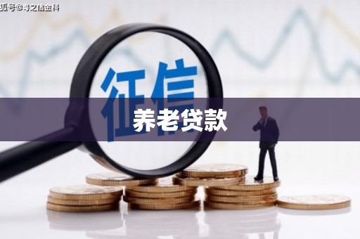 沧县养老贷款