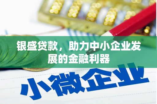 沧县银盛贷款，助力中小企业发展的金融利器