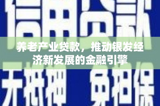 沧县养老产业贷款，推动银发经济新发展的金融引擎