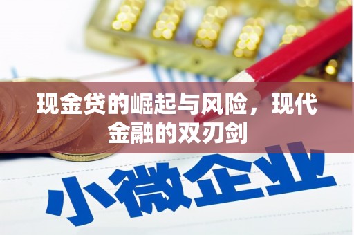 沧县现金贷的崛起与风险，现代金融的双刃剑