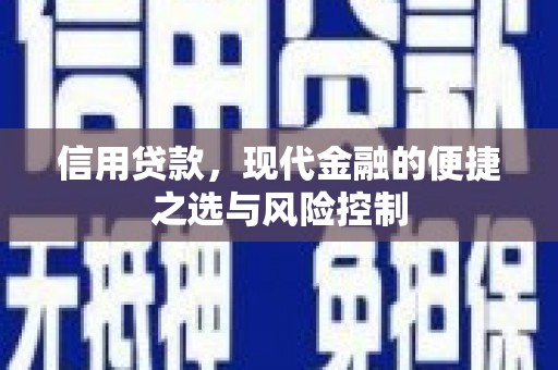 沧县信用贷款，现代金融的便捷之选与风险控制