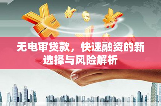 沧县无电审贷款，快速融资的新选择与风险解析