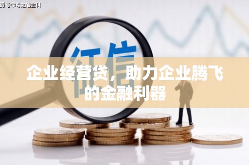 沧县企业经营贷，助力企业腾飞的金融利器