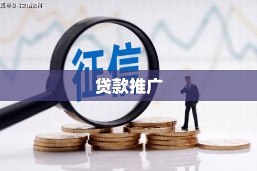 沧县贷款推广