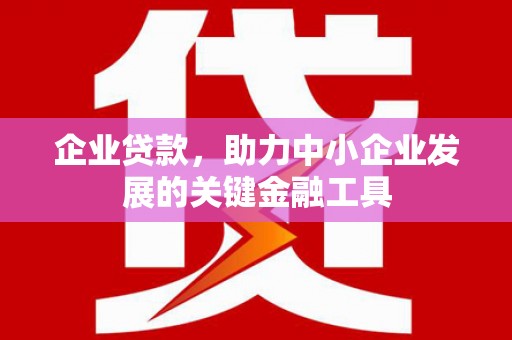沧县企业贷款，助力中小企业发展的关键金融工具