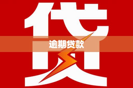 沧县逾期贷款