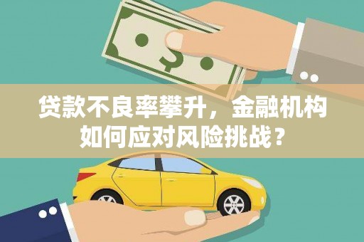 沧县贷款不良率攀升，金融机构如何应对风险挑战？