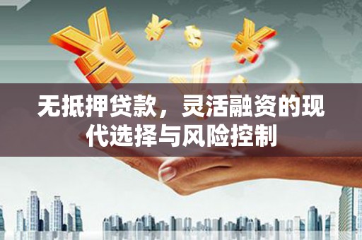 沧县无抵押贷款，灵活融资的现代选择与风险控制