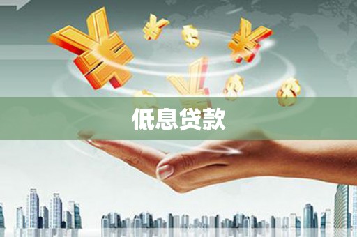 沧县低息贷款