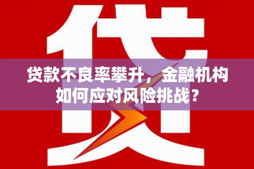 沧县贷款不良率攀升，金融机构如何应对风险挑战？