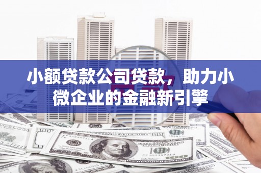 沧县小额贷款公司贷款，助力小微企业的金融新引擎