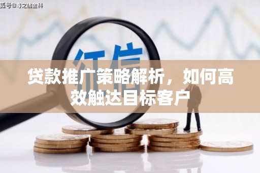 沧县贷款推广策略解析，如何高效触达目标客户
