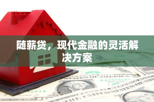 沧县随薪贷，现代金融的灵活解决方案