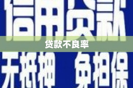 沧县贷款不良率