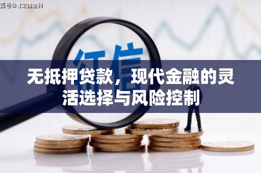 沧县无抵押贷款，现代金融的灵活选择与风险控制