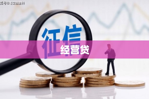 沧县经营贷