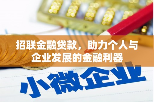 沧县招联金融贷款，助力个人与企业发展的金融利器