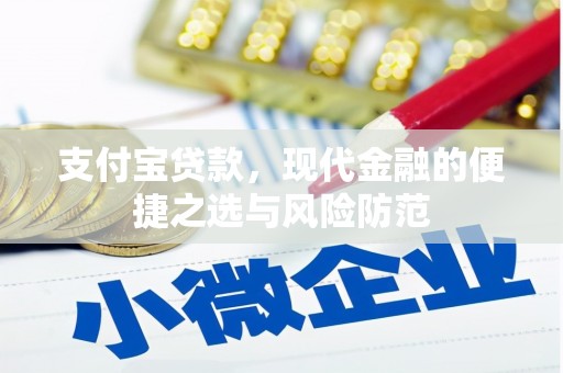 沧县支付宝贷款，现代金融的便捷之选与风险防范