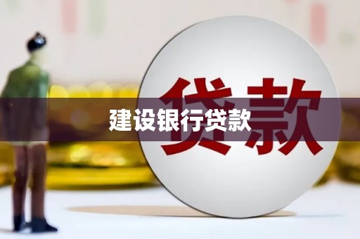沧县建设银行贷款