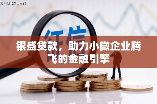 沧县银盛贷款，助力小微企业腾飞的金融引擎