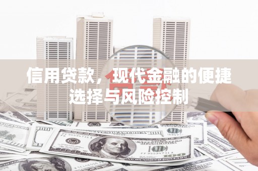 沧县信用贷款，现代金融的便捷选择与风险控制
