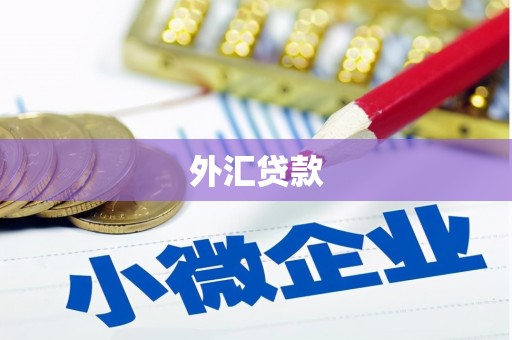 沧县外汇贷款