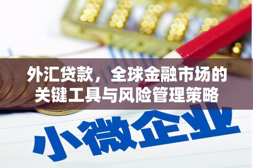 沧县外汇贷款，全球金融市场的关键工具与风险管理策略